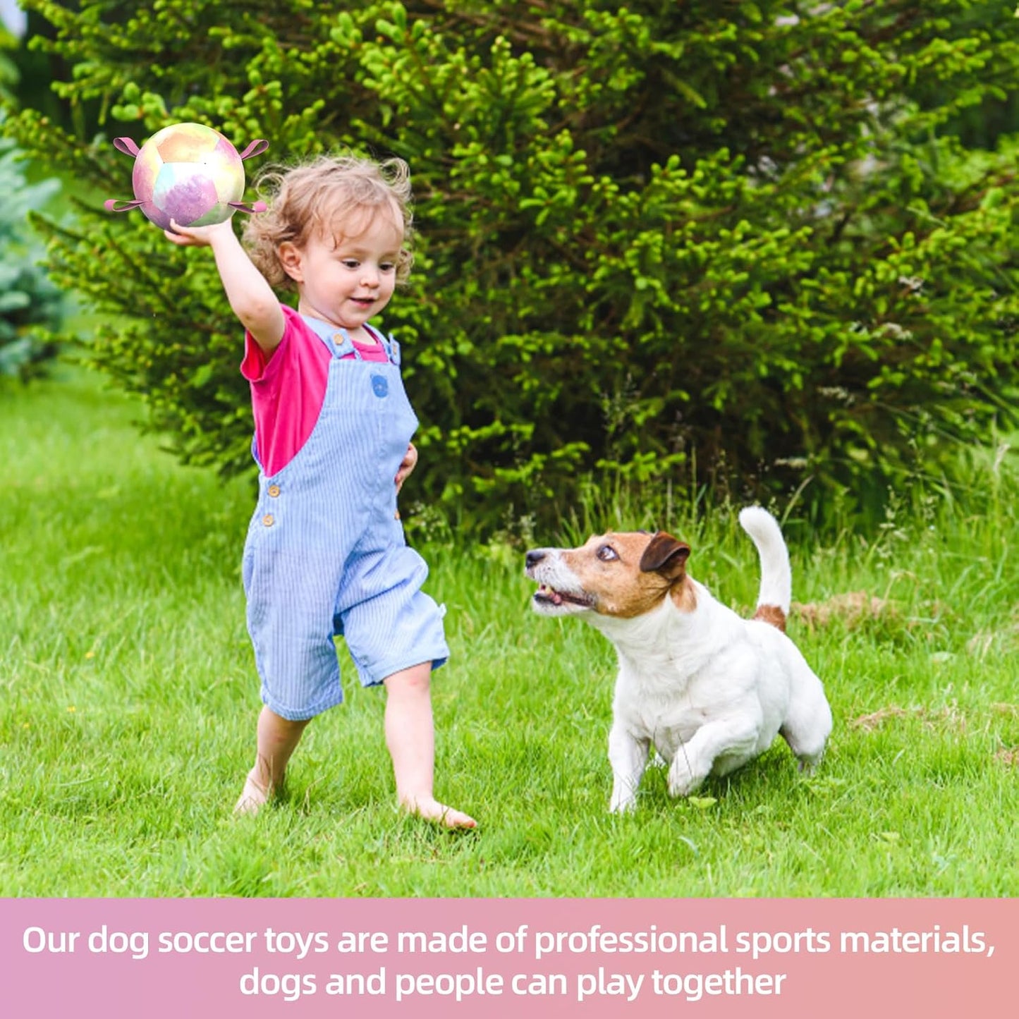 QDAN Dog Toys Soccer Ball with Straps, Durable Dog Balls for Tug of War, Puppy Birthday Gifts, Dogs Water Toy Small Dogs-Rainbow（5 Inch）