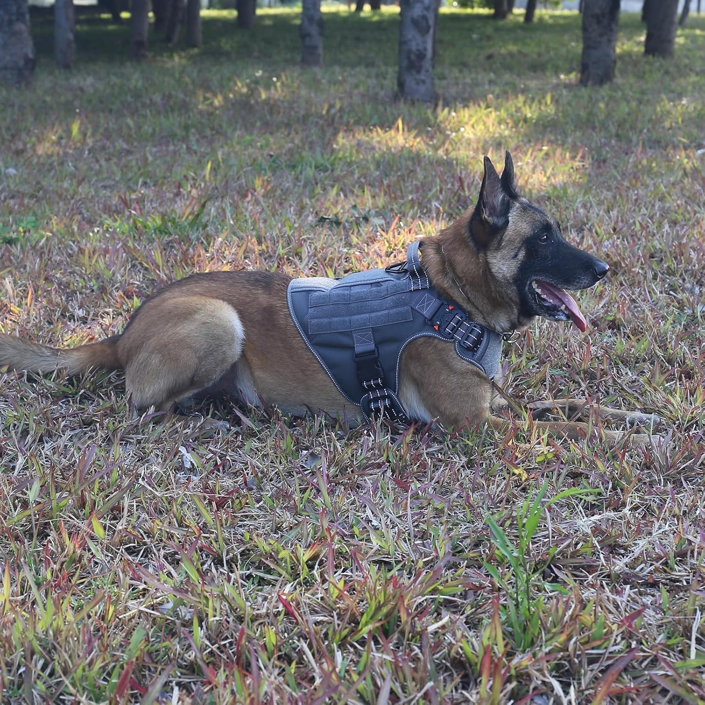 ICEFANG Tactical Dog Harness, Large Size,2X Metal Buckle,Working Dog MOLLE Vest with Handle,No Pulling Front Leash Clip,Hook and Loop Panel (Grey,L (Pack of 1))