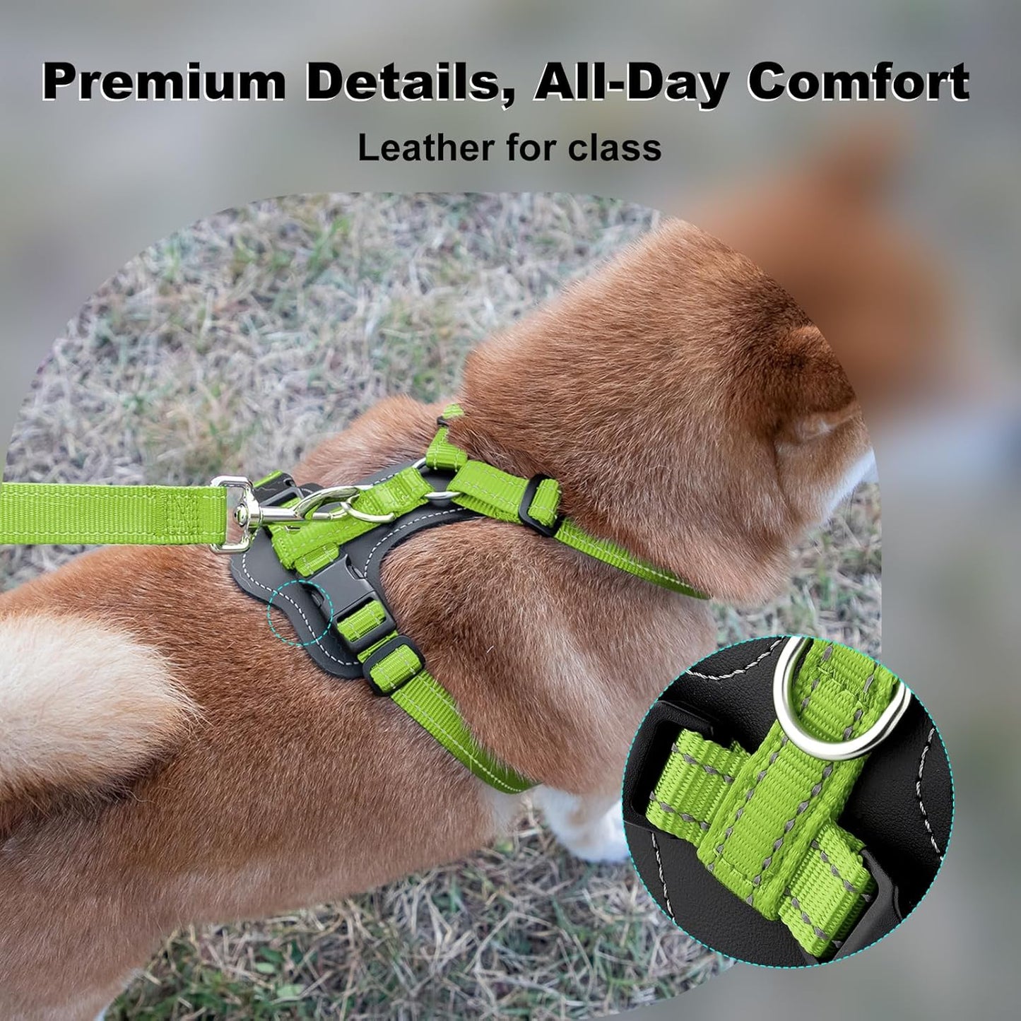 Plutus Pet Adjustable No Pull Dog Harness with Leather Accents, Heavy Duty Reflective Nylon Vest for Training, Hiking, Easy Walk Harness for Small, Medium, Large Dogs (Green, S)