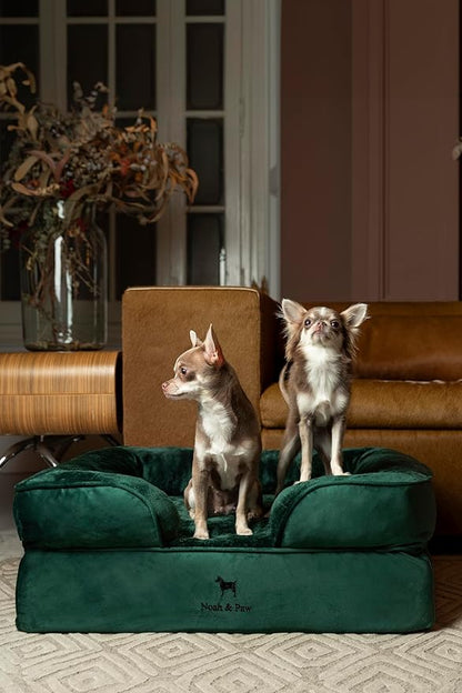 NOAH & PAW Dog Bed, 28x23x11 Inch, Orthopedic Dog Beds for Medium Size Pets, Eggshell Memory Foam Infused with Cooling Gel, Inner Cover, Waterproof, Machine Washable (Velvet Sofa Collection)