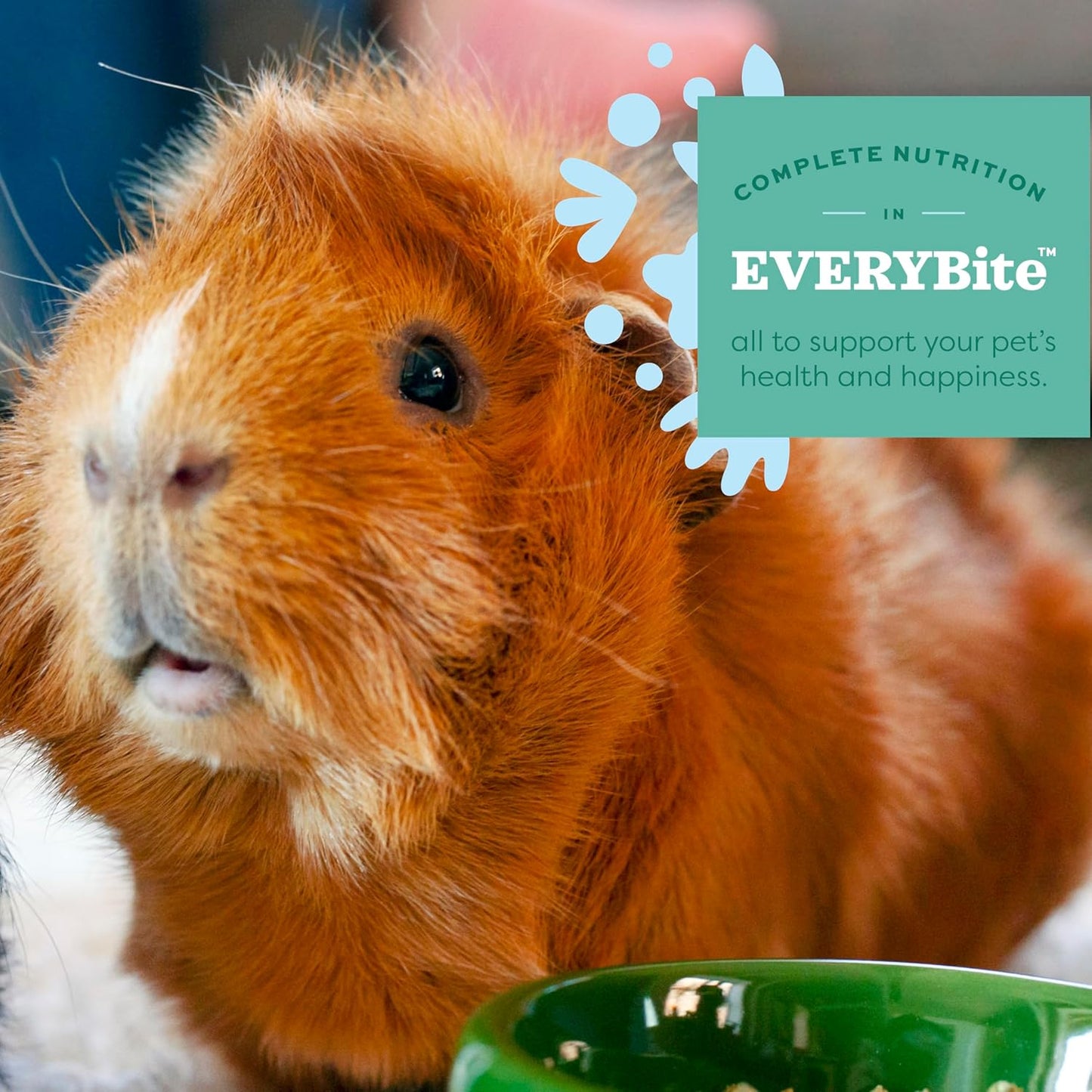 Oxbow Essentials Young Guinea Pig Food, Guinea Pig Pellets Made with Timothy Hay, Stabilized Vitamin C, Small Animal Pet Products, Small Animal Food Made in USA, High Fiber, 5 lb. Bag