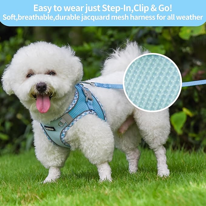 AIITLE Tiny Dog Harness - Lightweight Mesh Step-in Vest for Puppy, Reflective & Escape-Proof Design with High-Stick Magic Tape - Indoor/Outdoor Use for Chihuahua, Maltese, Shih Tzu(Blue, XXXS)