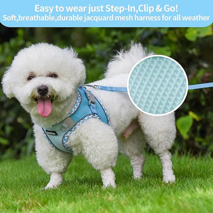 AIITLE Tiny Dog Harness - Lightweight Mesh Step-in Vest for Puppy, Reflective & Escape-Proof Design with High-Stick Magic Tape - Indoor/Outdoor Use for Chihuahua, Maltese, Shih Tzu(Blue, XXXS)
