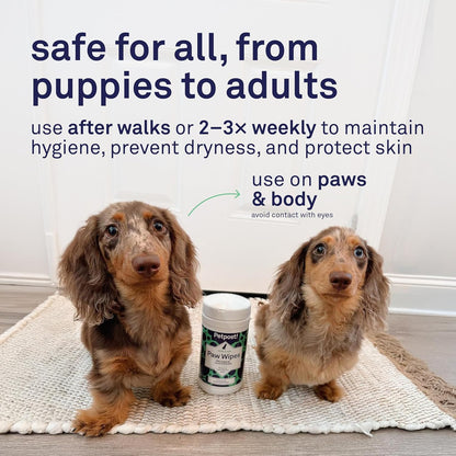 Petpost Large Paw Wipes for Dogs | 70 Count Dog Paw Cleaner Wipes with Coconut Oil, Jojoba Oil & Aloe | Gentle Pet Wipes for Paws | Ultra Soft Cotton Pads, Cherry Blossom Scent