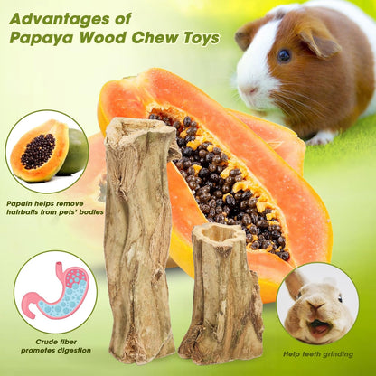 Abizoo Rabbit chew Toys for Bunnies,4 Pcs Natural Papaya Wood Chew Sticks Bunny Chews for Teeth Chinchilla Guinea Pig Hamster Gerbil Degu Small Animals to Keep Busy Molar Treats Toys