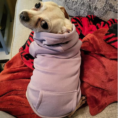 Jecikelon Winter Dog Hoodie Sweatshirts with Pockets Warm Dog Clothes for Small Dogs Chihuahua Coat Clothing Puppy Cat Custume (Purple, Medium)