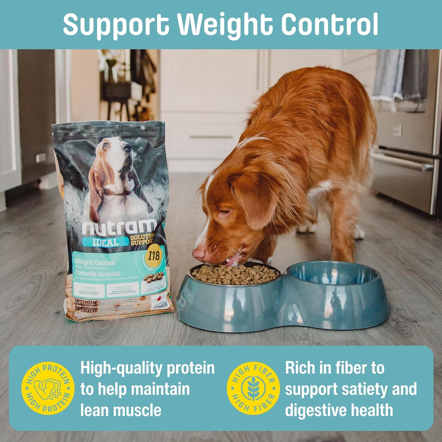 I18 Healthy Weight Management Dry Dog Food | High Protein, Low Fat Chicken Meal & Peas Kibble | Muscle Builder Formula for All Breeds (4.4 Pounds)