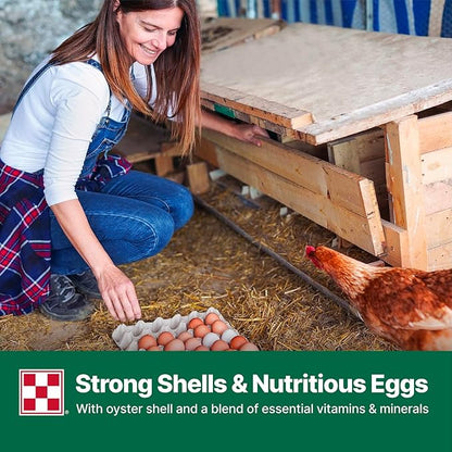 Purina Layena + High Protein Layer Chicken Feed (10 Pound)