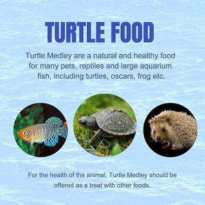 Amzey 2 Pack Aquatic Turtle Food, Vitamin, Enriched Medley Treats of Freeze, Dried Mealworms, River Shrimp & River Fishes, High Protein Turtle Medley Food for Aquatic Tortoise, 3.7 Ounce Total