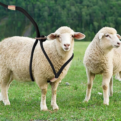 Goat Harness, Goat Supplies, Goat Harness for Walking, Washable Goat Leash, Goat Accessories, Livestock Supplies for Goats, Sheeps