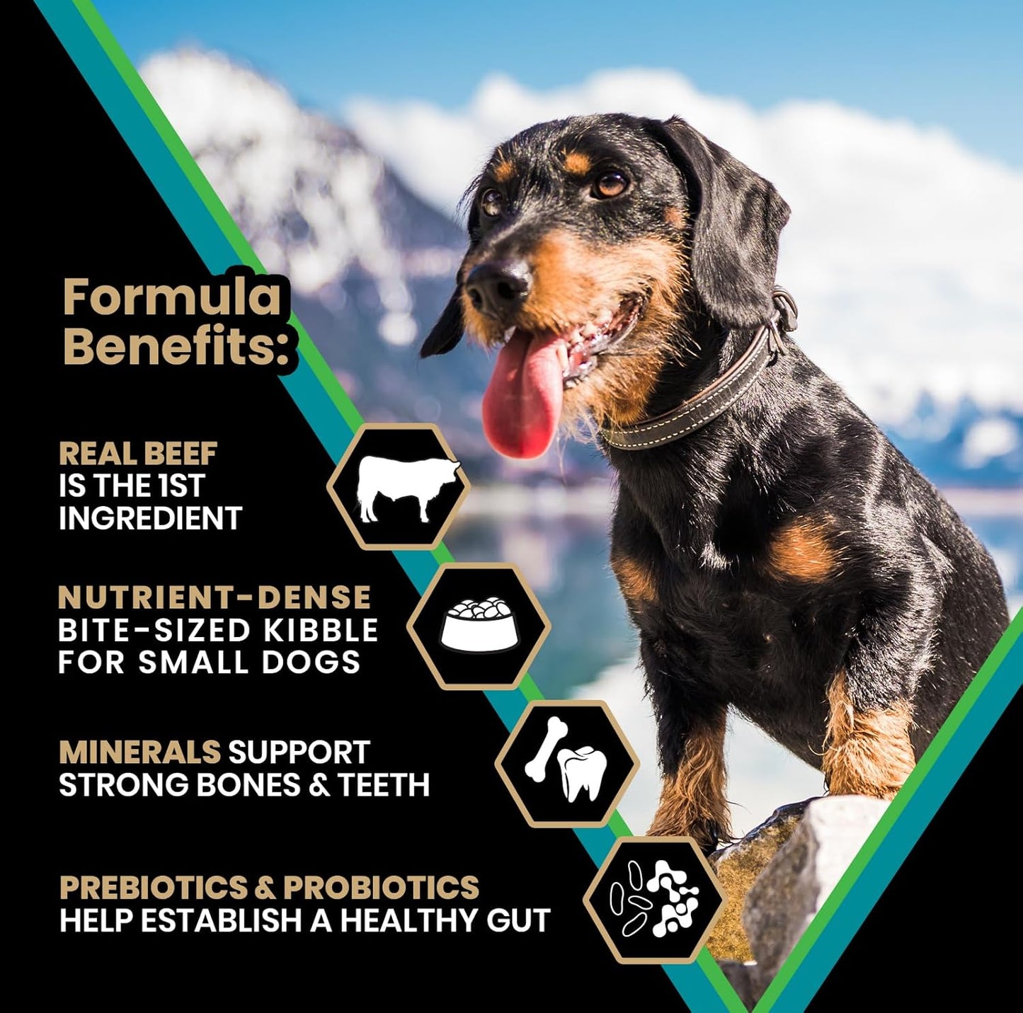 VICTOR Classic - Hi-Pro Small Breed Adult, 5-lb