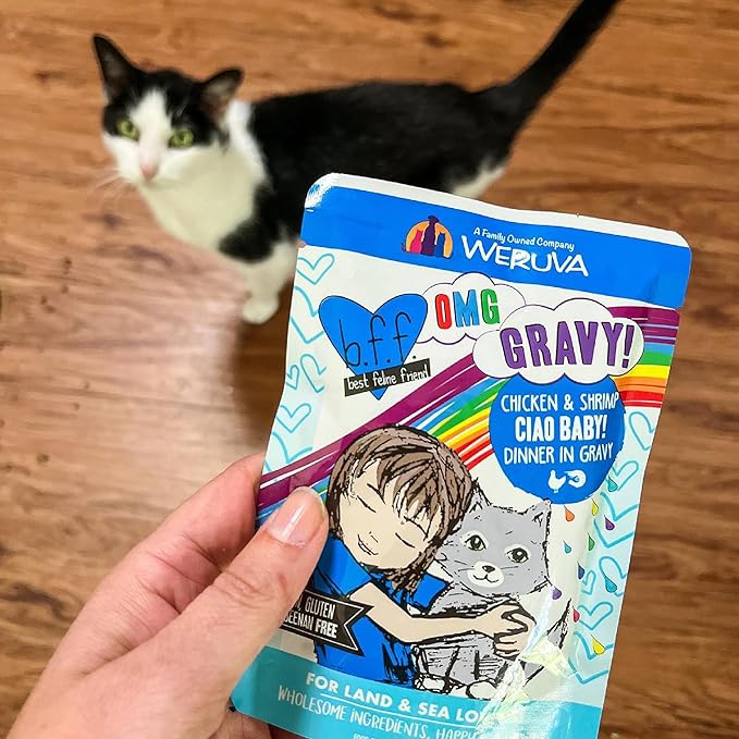 Weruva B.F.F. OMG - Best Feline Friend Oh My Gravy!, Booya! Beef & Chicken in Gravy Cat Food, 2.8oz Pouch (Pack of 12)