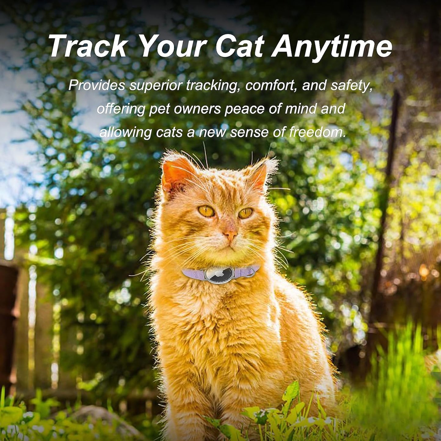 AirTag Cat Collar,Ultra Elastic Cat Tracker Collar with Apple Air Tag Holder, [Lightweight][Scratch Resistant] Stepless Adjustable GPS Pet Collar for Cats Kittens (Purple)