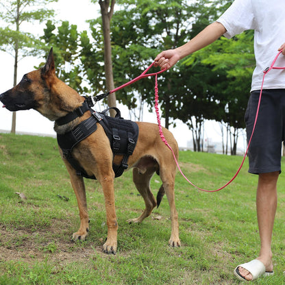 ICEFANG Tactical Dog Leash,K9 Training Walking Bungee Lead with 2 Control Handle,Heavy Duty Quick Release Metal Clasp,for Medium Large Breed (Reflective Rose, 6 FT)