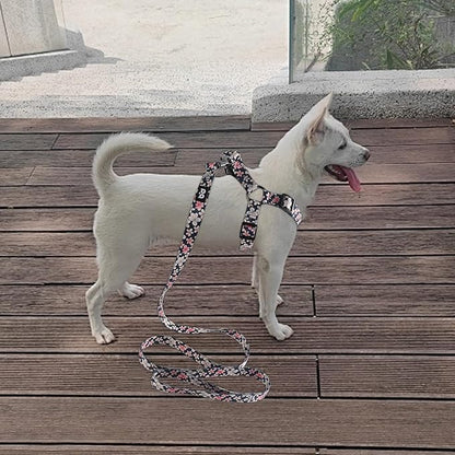 QQPETS Dog Harness Leash Set Adjustable Heavy Duty No Pull Halter Harnesses for Small Medium Large Breed Dogs Back Clip Anti-Twist Perfect for Walking