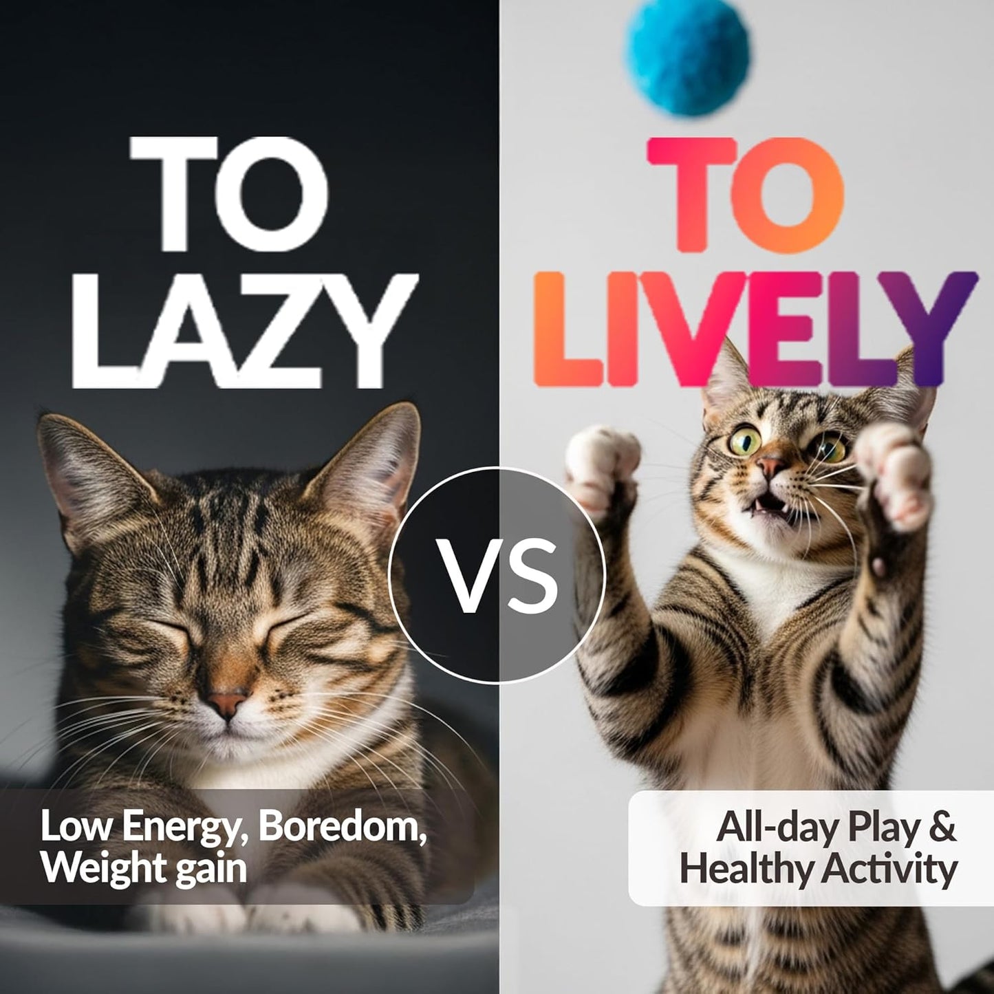 HA SHI Cat Toy Balls – 800-Pack Pom Pom Balls, Soft, Bouncy, Sparkle, Multi-Color & Mixed Sizes, No-Bell Toys for Indoor Cats & Kittens, Great for Quiet Night Play & Small Spaces