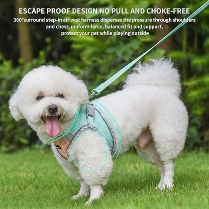 AIITLE Tiny Dog Harness - Lightweight Mesh Step-in Vest for Puppy, Reflective & Escape-Proof Design with High-Stick Magic Tape - Outdoor Use for Chihuahua, Maltese, Shih Tzu(Turquoise-Pink, XXXS)