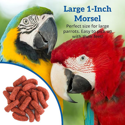 Scenic Apple Jungle Premium Parrot Food - Apple, Natural Flavors, High Protein, Low Iron Bird Pellets for Large Parrots, Macaw Food, Cockatoo & African Grey Parrots, Omega 3, Vitamins, Minerals, 2 LB