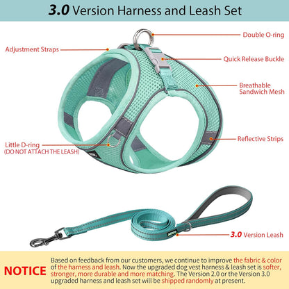 AIITLE No Pull Dog Harness and Leash Set, Step in Adjustable Dog Harness with Padded Vest for All Weather, Dog Leash with Soft Padded Handle, Easy to Put on Small and Medium Dogs Pure Turquoise S