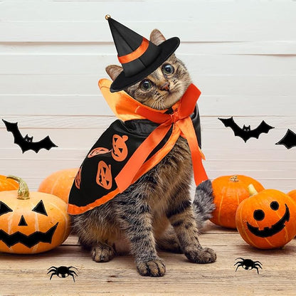 5 Pcs Cat Halloween Vampire Costume Halloween Pet Costume Clothes Set Cat Vampire Cloak Devil Witch Hat Bat Wings Wizard Clothes for Puppy Cosplay Dress up Accessories