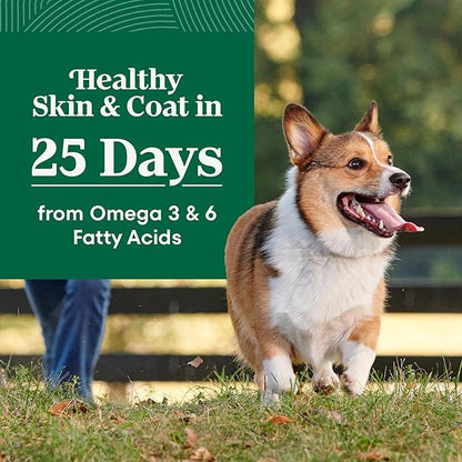 Nutro Natural Choice Lamb & Brown Rice Adult Small Bites Dog Food Recipe, 30 lb. Bag