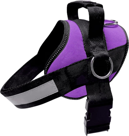 Joyride Basic Essential Dog Harness 1.0 - Small, Medium, Large Dogs, No-Pull Pet Vest with 3 Side Rings for Leash Placement, Adjustable for Training (Purple Majesty, S)