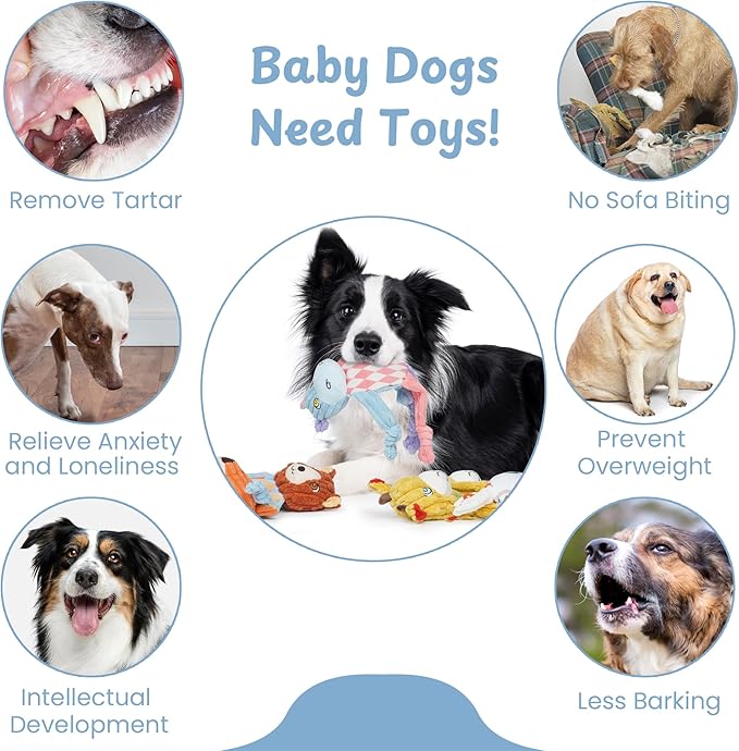 Nocciola Stuffless Squeaky Dog Toys 5 Pack, Body No Stuffing Small Dog Toy Variety Colors Animal Plush Puppy Toys with Squeaker Crinkle Sound to Keep Them Busy