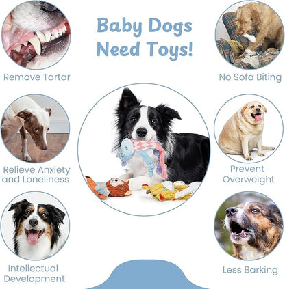 Nocciola Stuffless Squeaky Dog Toys 5 Pack, Body No Stuffing Small Dog Toy Variety Colors Animal Plush Puppy Toys with Squeaker Crinkle Sound to Keep Them Busy