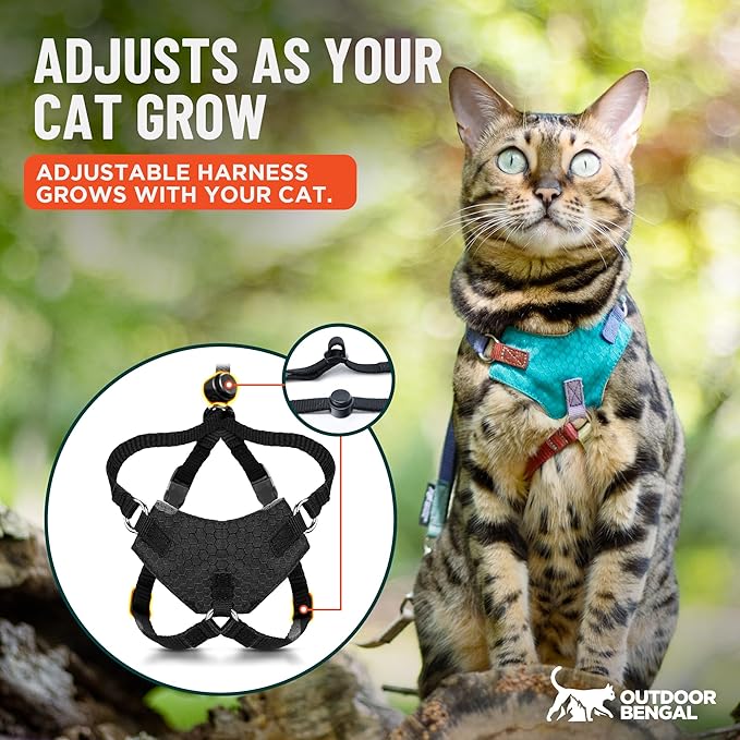 Houdini™ Escape Proof Kitten Harness and Leash Set by OutdoorBengal – Red, Small Cat Harness for Walking