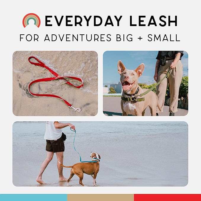 Wildebeest Funston Waterproof Dog Leash - Heavy Duty 6ft Long Leash for Small, Medium and Large Dogs - 1000D Nylon Scratch & Stink-Resistant & Pill-Free - Nylon Wrap Handle (3/4" Wide, 6 ft Length)