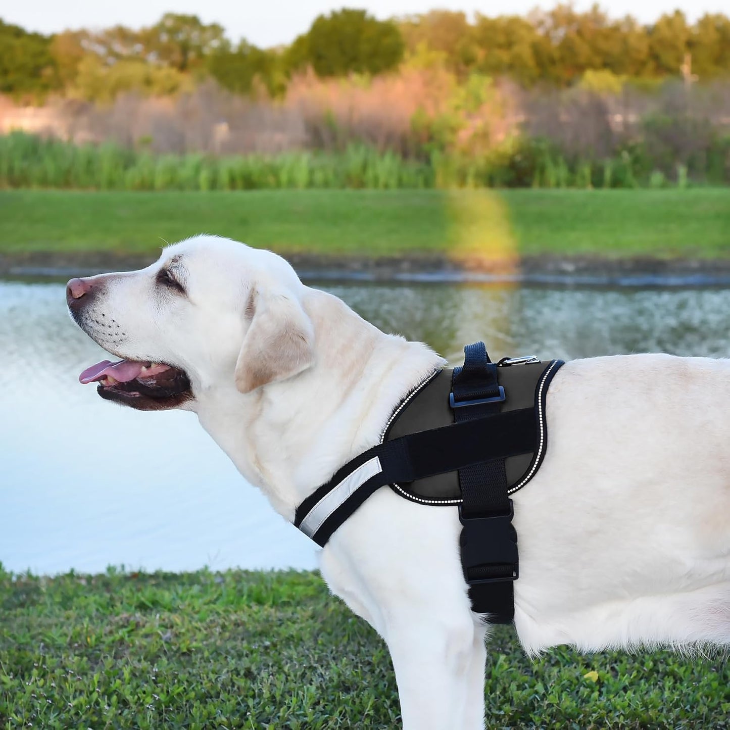 Dogline Dog Harness, Reflective No-Pull Adjustable Vest with Handle, Breathable No-Choke Harness for Small, Medium or Large Dogs Room for Patches Girth 33"-46" in Black