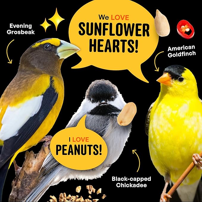 No Mess Sad Squirrels Hot Bird Seed – 10 lb. Spicy Shell-Free Blend with Peanuts, Sunflower Hearts & Chili Pepper Oil – No Waste, Squirrel-Resistant Bird Food for Outside Feeders