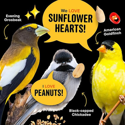 No Mess Sad Squirrels Hot Bird Seed – 10 lb. Spicy Shell-Free Blend with Peanuts, Sunflower Hearts & Chili Pepper Oil – No Waste, Squirrel-Resistant Bird Food for Outside Feeders