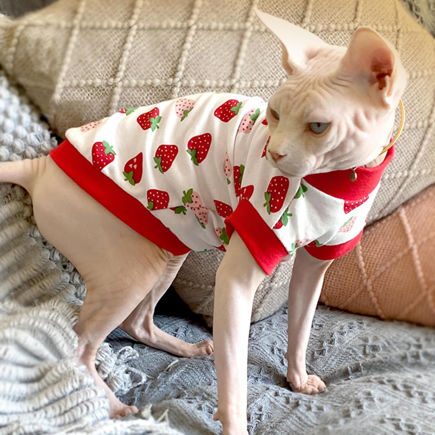 PUMYPOREITY Sphynx Cat Clothes: Stretchy Sweater, Soft Shirt, Pullover Pajamas, Turtleneck for Sphynx, Cornish Rex, Devon Rex Cats - Red, XL