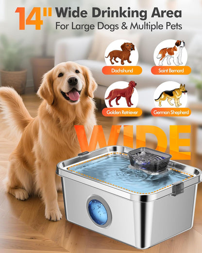 3.2Gal/12L Dog Water Fountain Stainless Steel, Dog Fountain Water Bowl with Dual-Latch, Pet Fountain for Dogs Cats and Multi-Pet, Automatic Dog Water Bowl Dispenser With Water Window, Ultra Quiet Pump