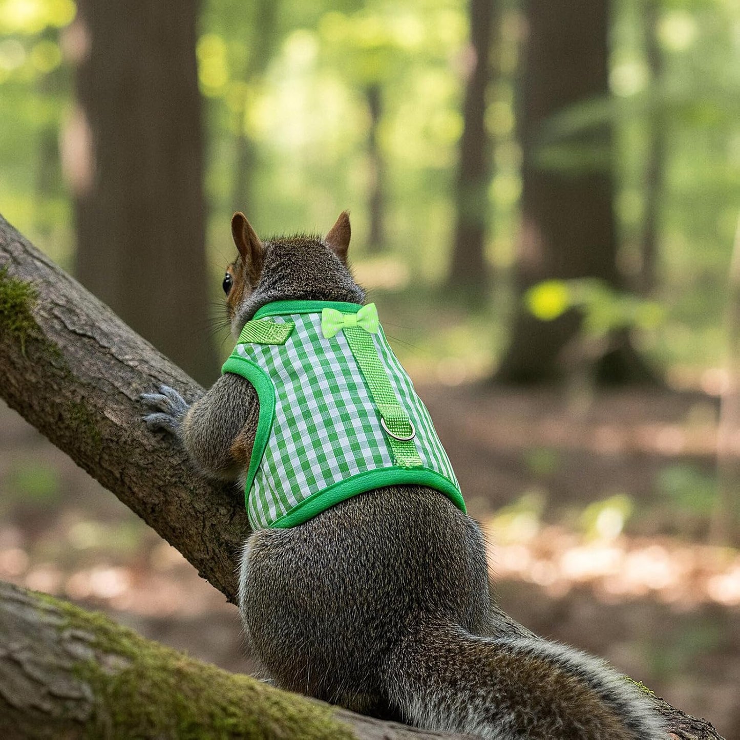 Guinea Pig Harness and Leash,Adjustable Guinea Pig Harness,Elastic Guineas Pigs Leash and Harnes,Ideal for Pet Hamster Squirrel Animals & Safe Pet Supervision(Green Plaid)