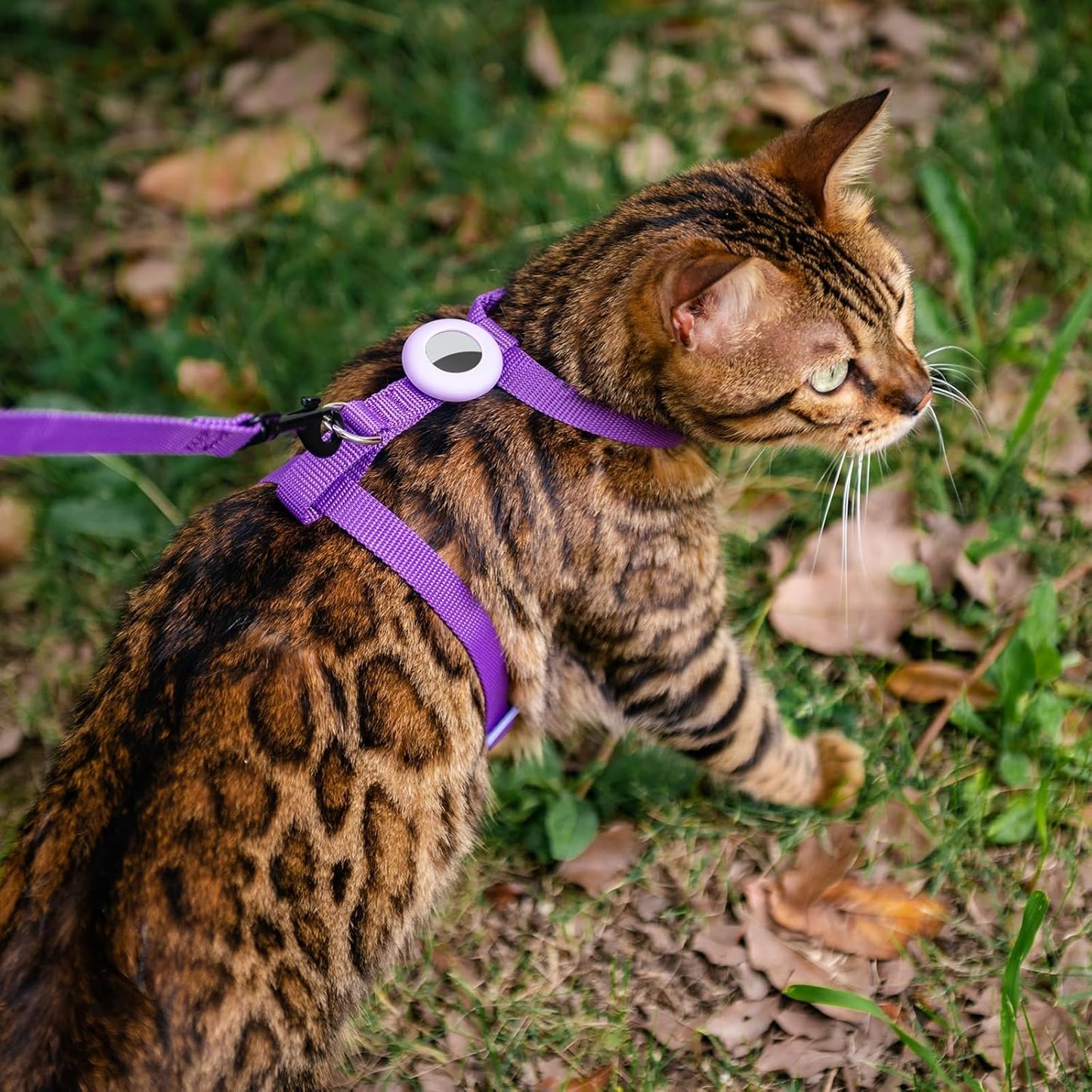 Cat Harness and Leash Set with Airtag Holder for Walking & Travelling, Escape Proof Cat Harness for Small Medium Large Kitten, Adjustable Lightweight Soft Cat Vests (Purple)