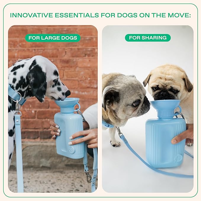Springer by Springland Dog Water Bottle | Portable Travel Water Bottle Dispenser for Dogs | Dog Gift Seen on Oprah's Favorite Things, Shark Tank | Leak-Proof Bottles | BPA-Free 44oz Sky Blue