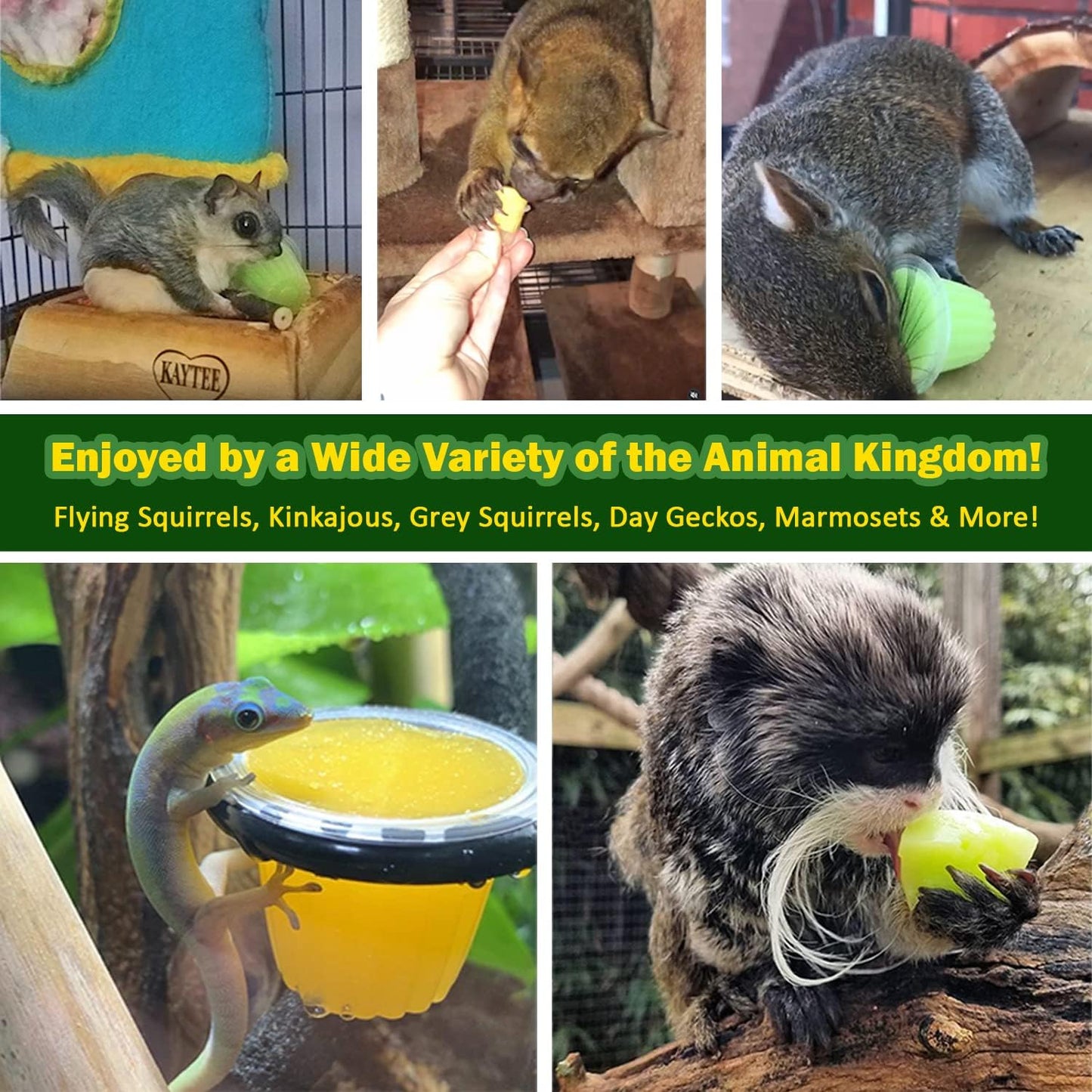 Nectar Pods (Pineapple) - Calcium-Fortified Jelly Fruit Treat - Sugar Gliders, Marmosets, Squirrels, Parrots, Cockatiels, Parakeets, Birds, Hamsters, Day Geckos, Kinkajous & Other Small Pets