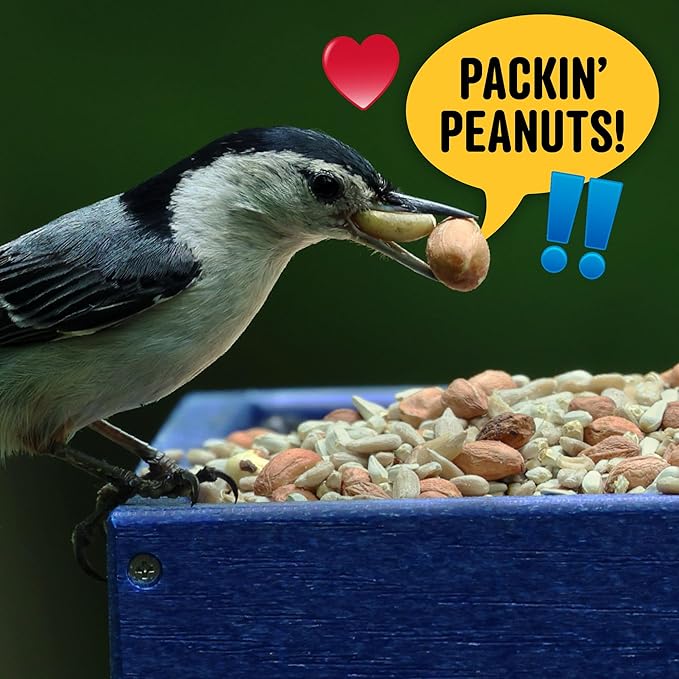 Safflower, Nuts & Hearts Wild Bird Seed – 10 lb. Gourmet Bird Food with Safflower, Sunflower Hearts & Peanuts – No Corn, Milo or Millet, No Waste Bird Food for Outside Feeders