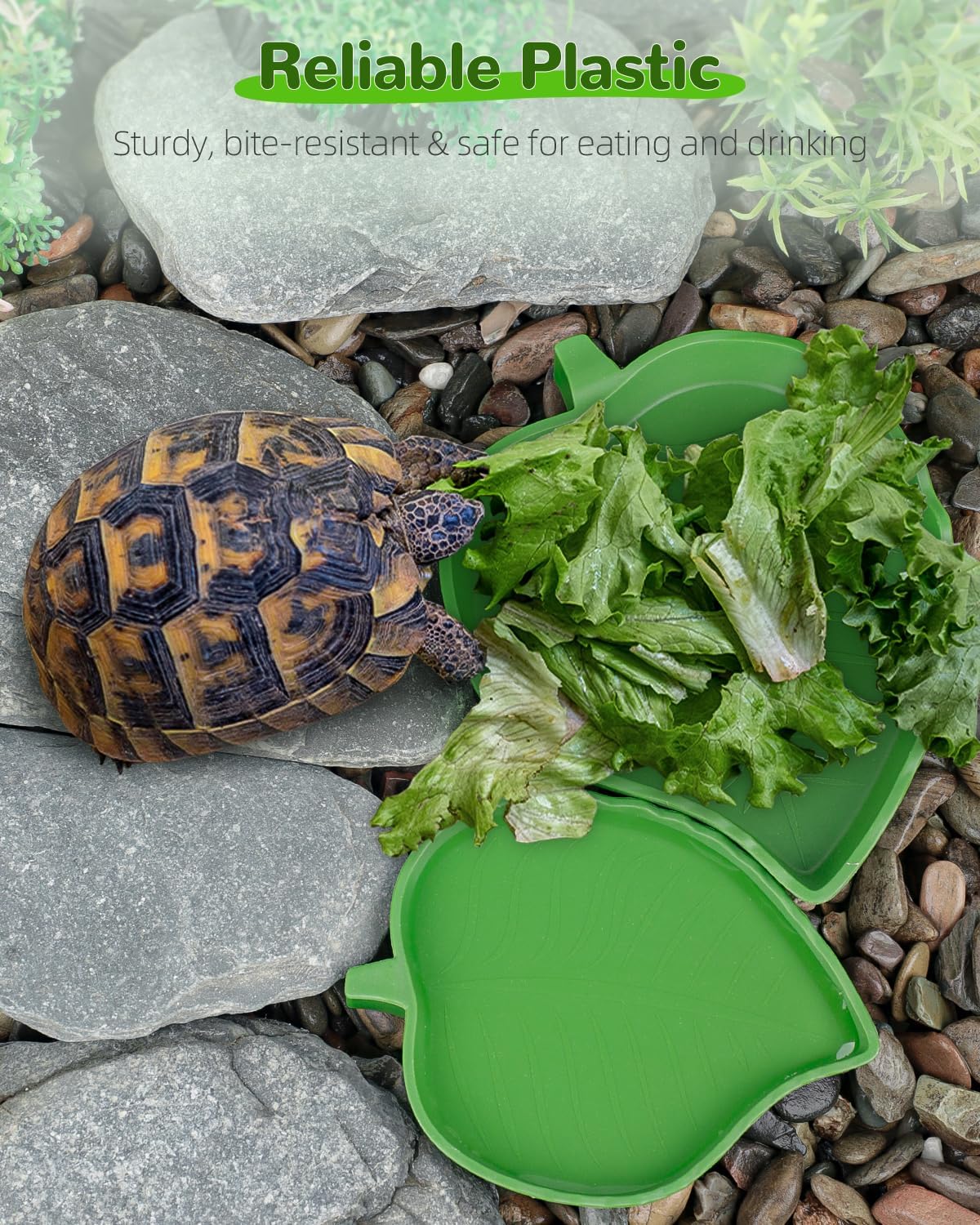 Pawfly 2 Pcs Leaf Reptile Water Dish, Reptile Water Bowl, Tortoise Habitat Accessories, Bearded Dragon Water Bowl, Pet Food Feeding Plate for Turtle Small Snake Lizard, 2 Sizes