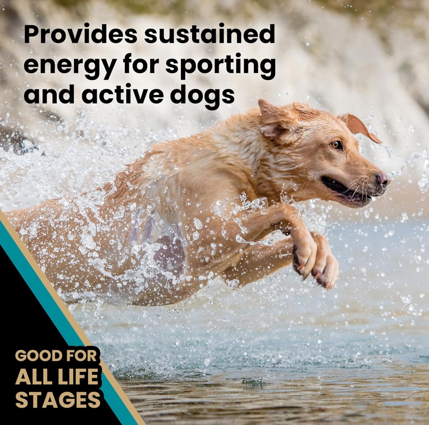 VICTOR Super Premium Dog Food – Hi-Pro Plus Dry Kibble – High Protein Dog Food with 30% Protein – Beef, Chicken, Pork, Fish Meals, Gluten Free - for High Energy and Active Dogs & Puppies, 30lbs