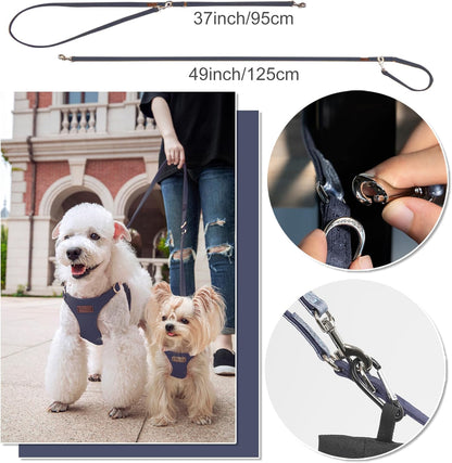 Puppytie No Pull Small Dog Harness with Multifunction Dog Leash,Lightweight Soft Adjustable No Choke Escape Proof Pet Harness Vest Pet Harness Vest,Glossy Galaxy Blue,S