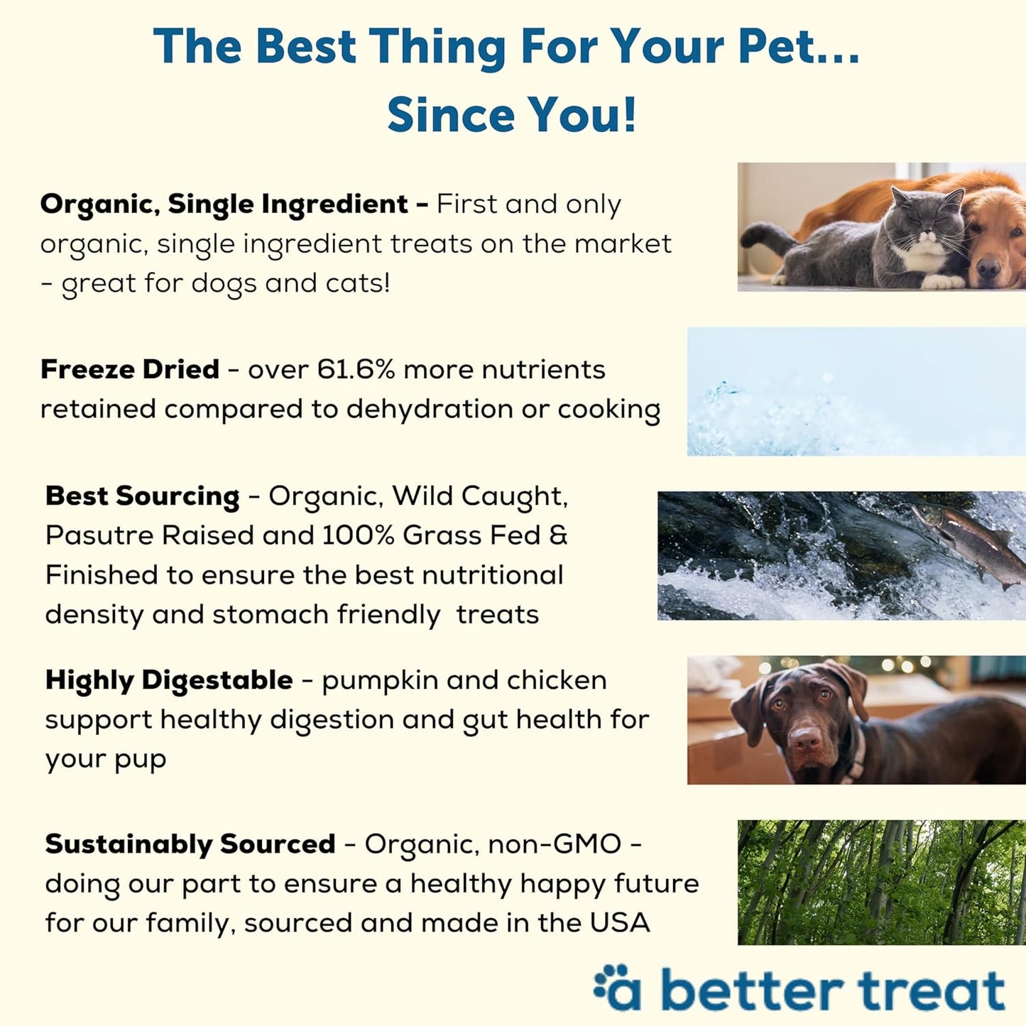 A Better Treat – Organic, Single Ingredient, Freeze Dried Pumpkin, Grass Fed & Finished Beef Liver, Chicken, Sweet Potato, Wild Salmon Dog Treats & Cat Treats | Natural Diabetic Friendly | Made in USA