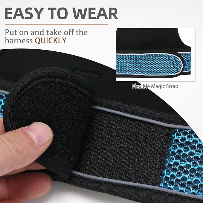 PUPTECK Soft Mesh Cat Vest Harness and Leash Set Puppy Padded Pet Harnesses Escape Proof for Cats Small Dogs (X-Large, Lake Blue)