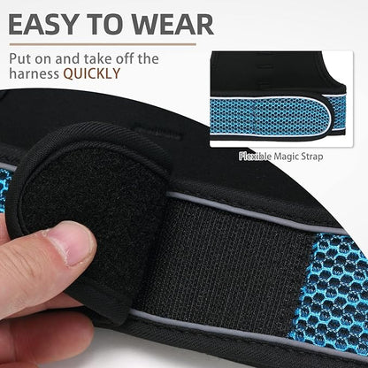 PUPTECK Soft Mesh Cat Vest Harness and Leash Set Puppy Padded Pet Harnesses Escape Proof for Cats Small Dogs (X-Large, Lake Blue)