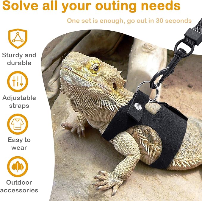 Bearded Dragon Leash and Harness Set - 3-Size Adjustable Soft Leather Vest for Training & Walking, Easy-On-and-Off Design (Black, 2M)