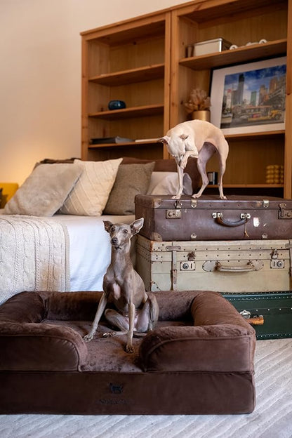 NOAH & PAW Large Dog Bed, 35x25x11 Inch, Orthopedic Dog Beds, Eggshell Memory Foam Infused with Cooling Gel, Inner Cover, Waterproof, Machine Washable (Velvet Sofa Collection)