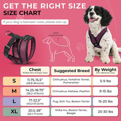 Gooby Comfort X Head In Harness - Purple, Large - No Pull Small Dog Harness Patented Choke-Free X Frame - Perfect on the Go Dog Harness for Medium Dogs No Pull or Small Dogs for Indoor and Outdoor Use