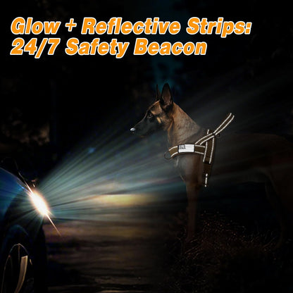 Forestpaw No Pull Dog Harness with Large Handle,Slip on Reflective Vest with Quick Release Buckle,Comfortable Flannel Lining for Medium Large Dogs Walking Training (Includes 3 Patches),Brown XL